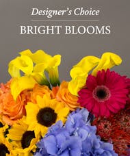 Bright Blooms - Compact & Round - Cube