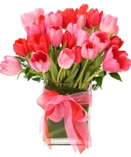 Valentine Tulips Ultra