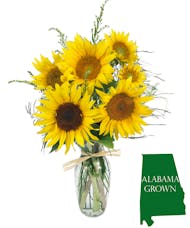 Alabama Sunflowers