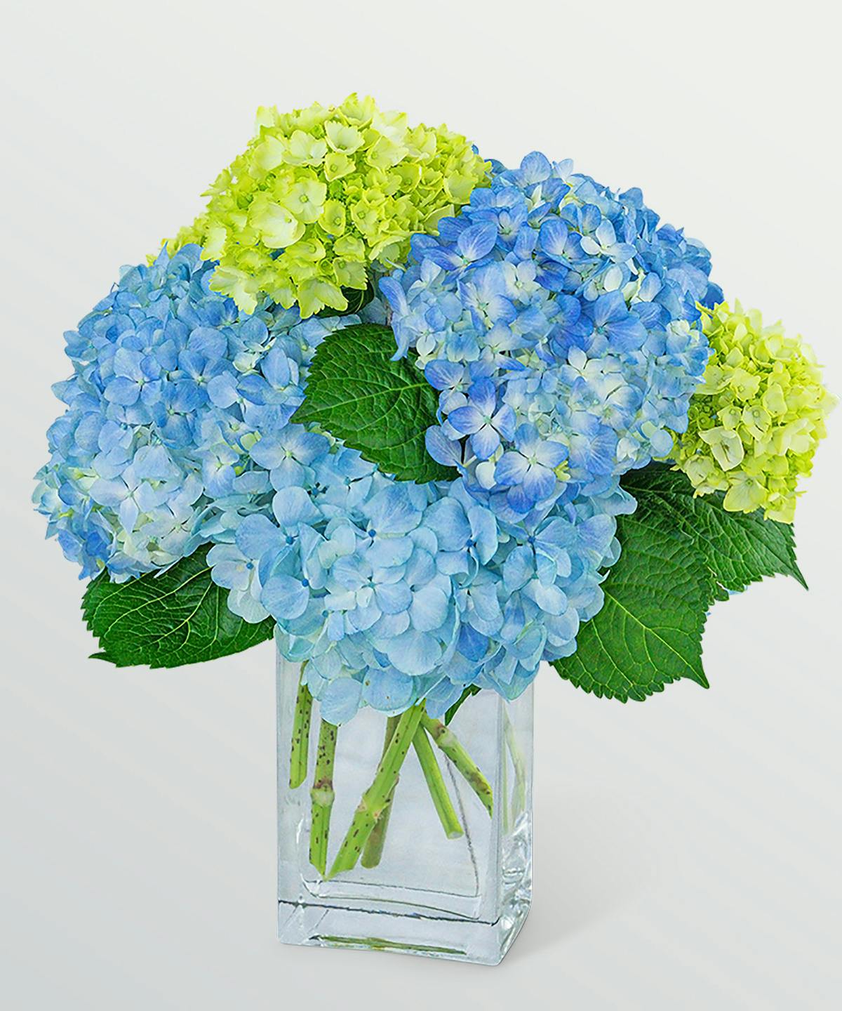 Coastal Calm Birmingham (AL) SameDay Flower Delivery Norton's Florist