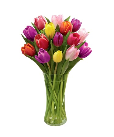 Spring Mixed Tulip Bouquet 